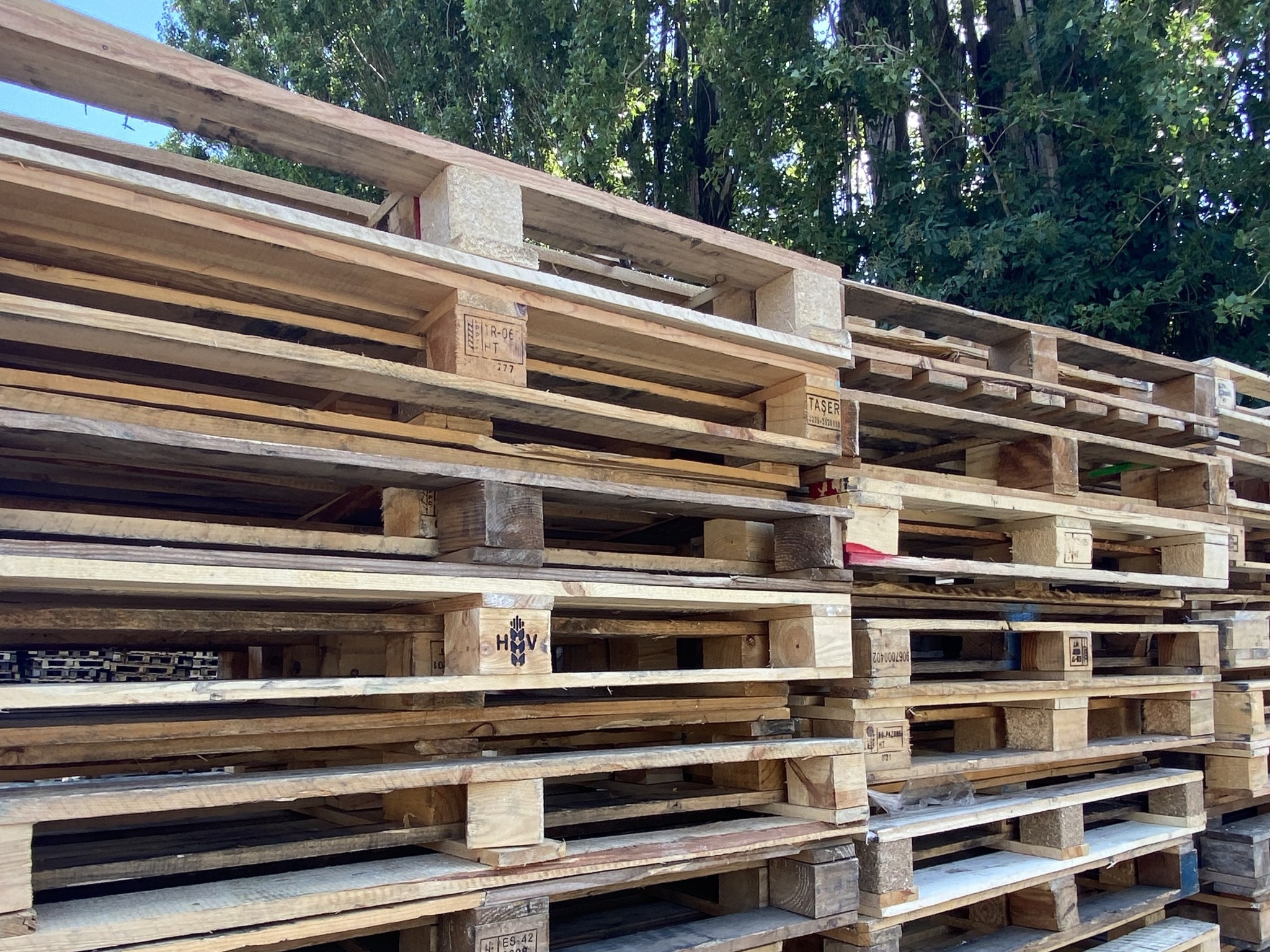 Collecte de palettes sur site